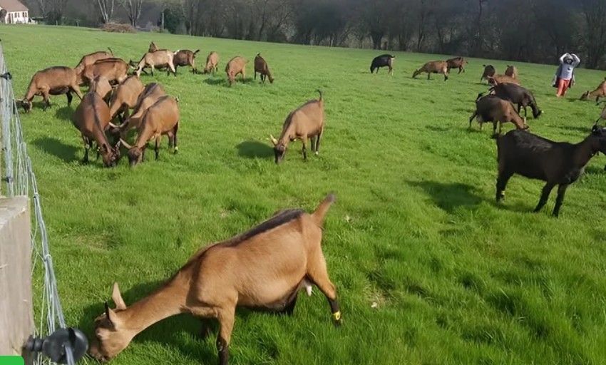 14 – La Ferme de la Chevrière – Maraîcher & Producteur