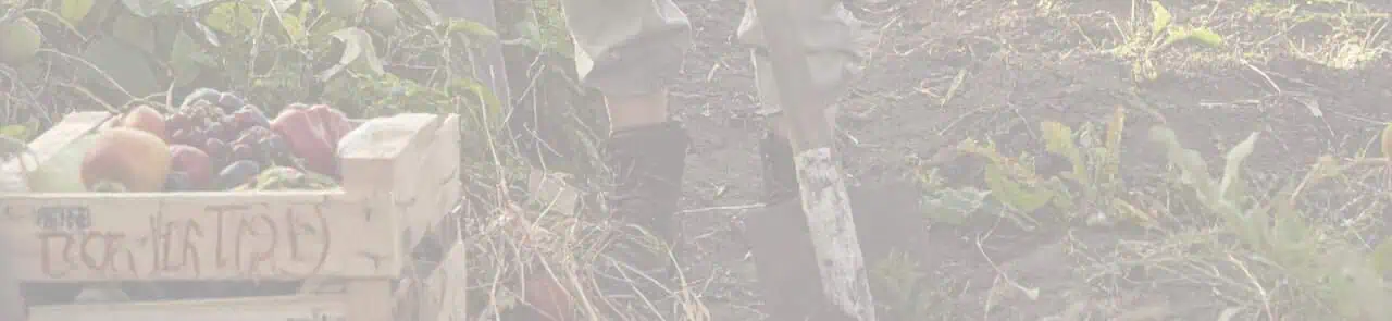 Vente de graines et troc de plants